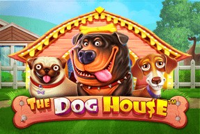 The Dog House — игра ZOOMA